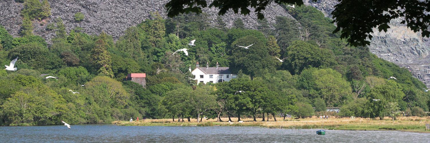 Padarn Apartment At Glanybala Holidays Llanberis Luaran gambar